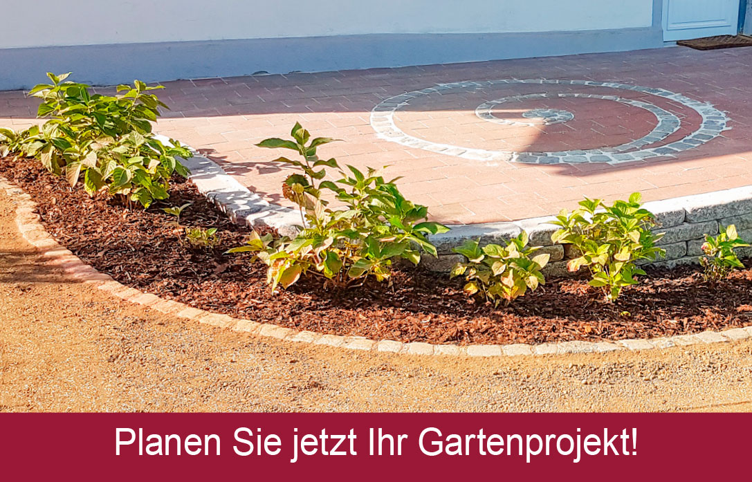 Gärtnertipp des Monats