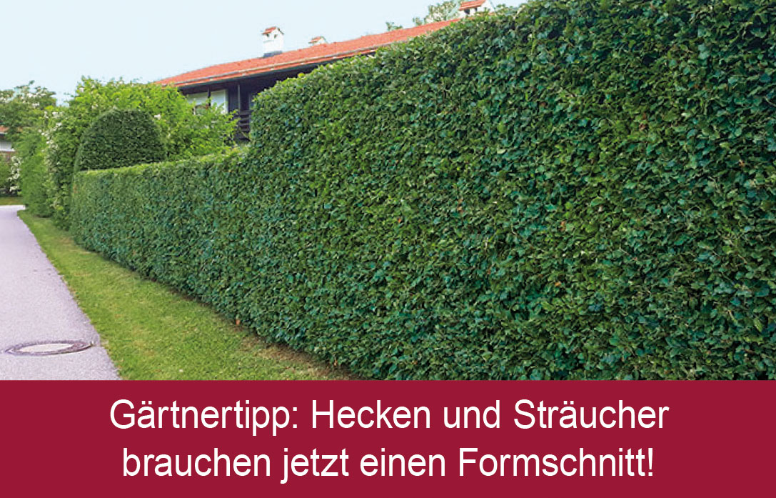 Gärtnertipp des Monats Gärtnertipp des Monats